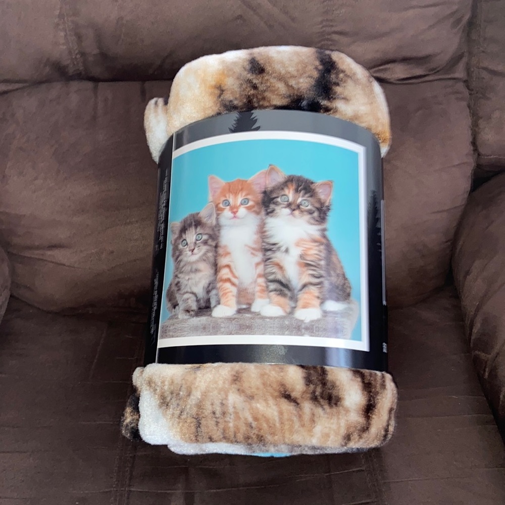 Kitten Plush Throw 50in x 60in